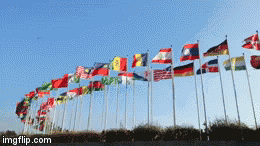 flags-of-all-countries-waving-flags.gif