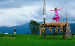 Girl dancing in farm