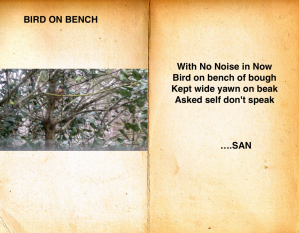 BIRD ON BENCH